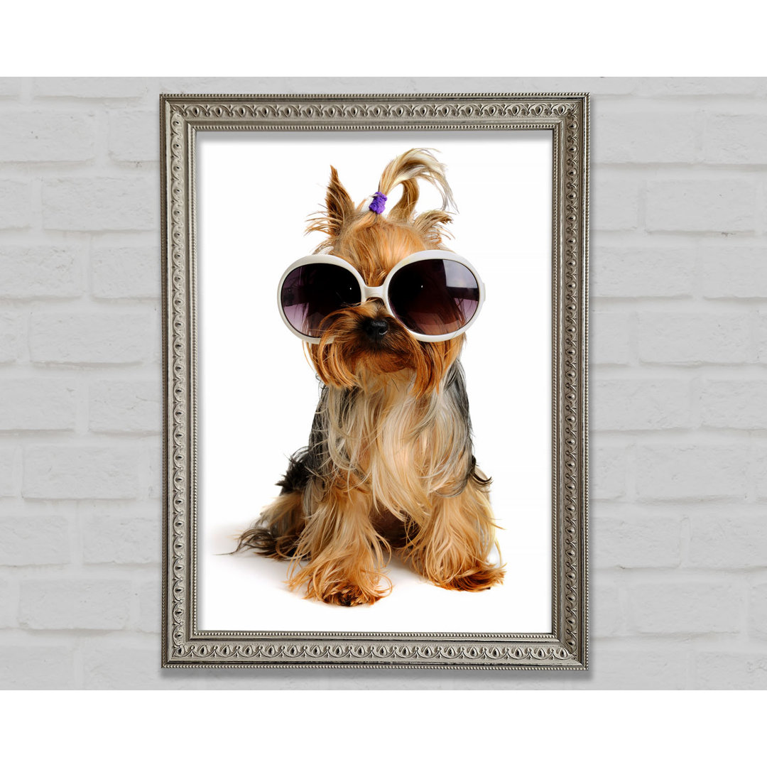 Gerahmtes Leinwandbild Yorkshire Terrier Dog Glamour