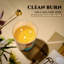 Teck acajou | Bougies parfumées 3-Wick Homelights