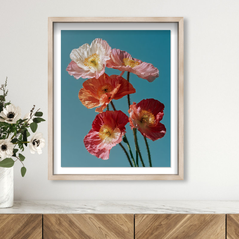 Poppy Bloom I Shadowbox Floral & Botanical Print by Oliver Gal, Black Frame, 16 x 20, Natural Oak Shadowbox, 21.5"H x 25.5"W