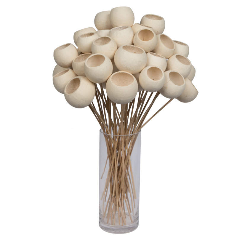 20'' Plant