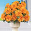 Zinnia Arrangement in Jar-2133228415