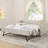 Twin Size Daybed with Pull-Out Extendable Bed, Button Tufted Back, Wave Shaped Arms with Nailhead Trim, USB Charging, Beige-1521545935