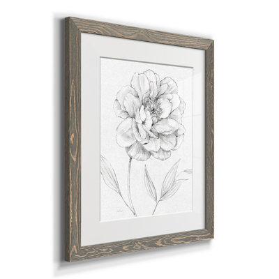 Esquisse de pivoine - Peinture sur papier encadrée