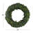 Arcadia 20" Real Preserved Olive Leaf Wreath