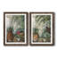 Orchidées au paradis I - ensemble de 2 reproductions d'art graphique-802655254-802457369-802457373