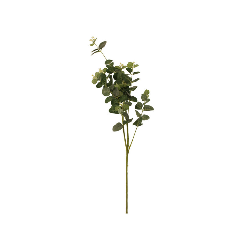 Arrangement