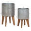 Dianemarie Pot Planter-1623322176