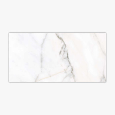12" x 24" Porcelain Stone Look Wall & Floor Tile
