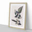 American Magpie by John Audubon - Single Picture Frame Painting-55544835-55544840