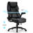 Alahni Executive Chair with Headrest-961120134