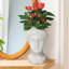 Concrete Effect Indoor Plant Pot, Greek Goddess Statue Planter, Flower Pot for Indoor Plants, Decorative Pot Cover L27 W24 H39 cm, with Inner Top D20 cm-1167191507