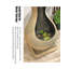 Ornement artistique Hanyuntang
