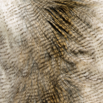 Tissu Alaskan Hawk