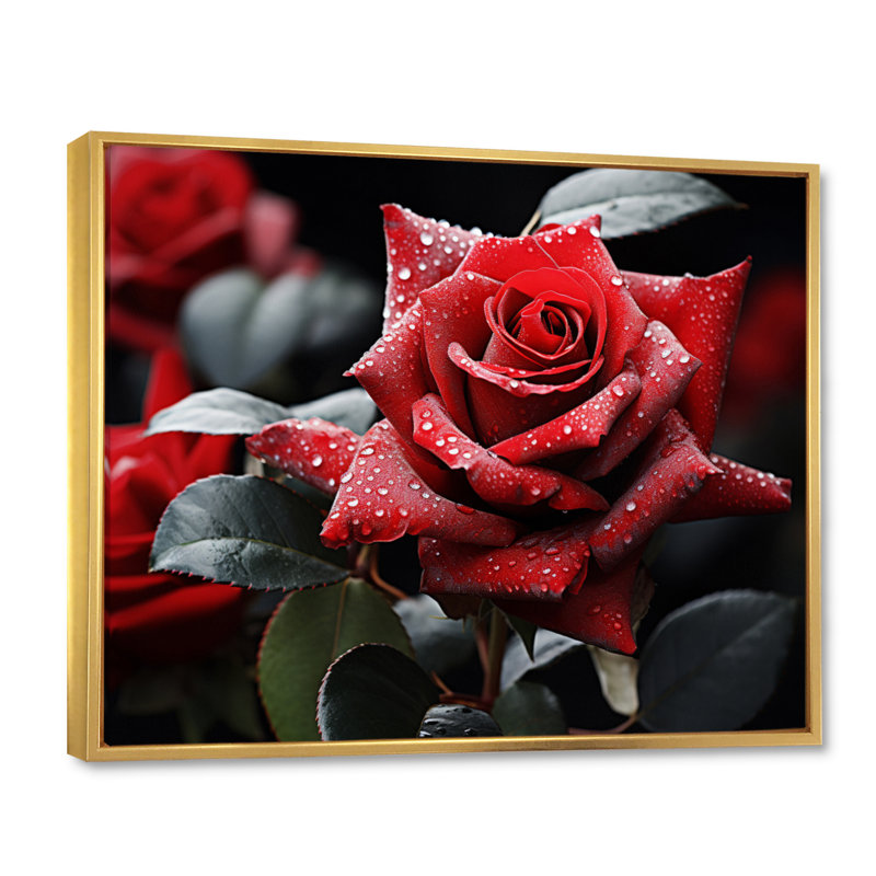 " Water Drops On Red Rose Majesty I ", 12" H x 20" W, Cadre flottant doré