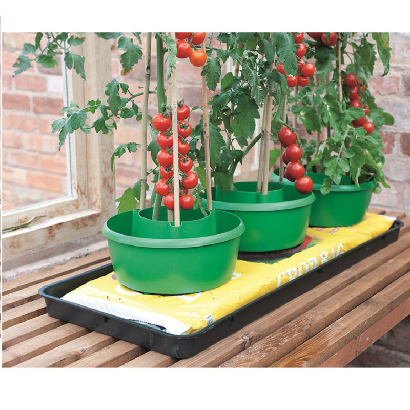 Azante Saucer Plant Stand, Green