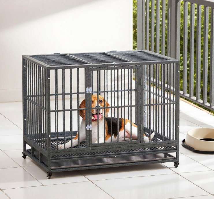 Cage en métal robuste pour chenil, Gris