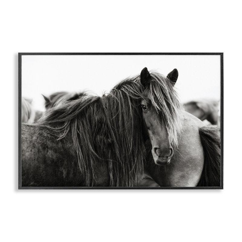 «Gazing Horse parmi le troupeau», estampe numérique, conception de PHBurchett, H 12 po x l 18 po, Giclée encadrée noir minuit