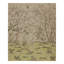 Hand Knotted Wool Area Rug