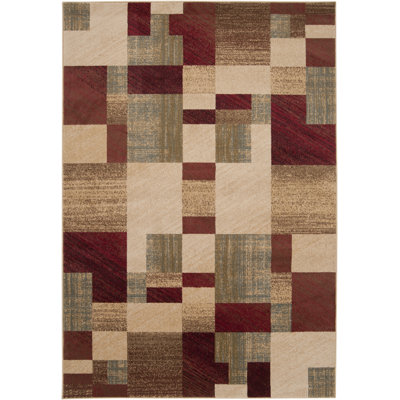 Douglasland Geometric Indoor Rug