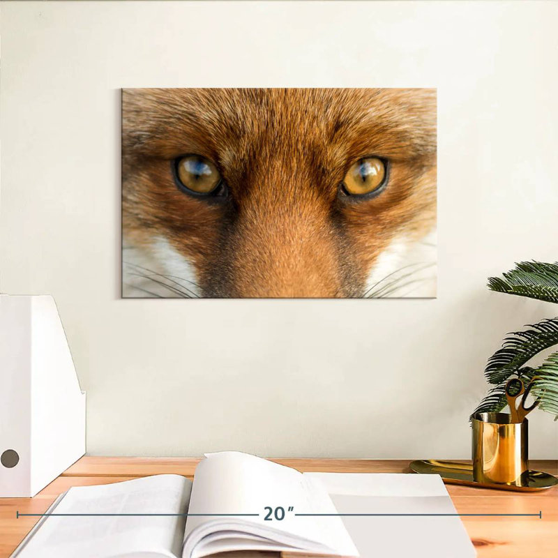 Amber Eyed Fox, 8" H x 12" W