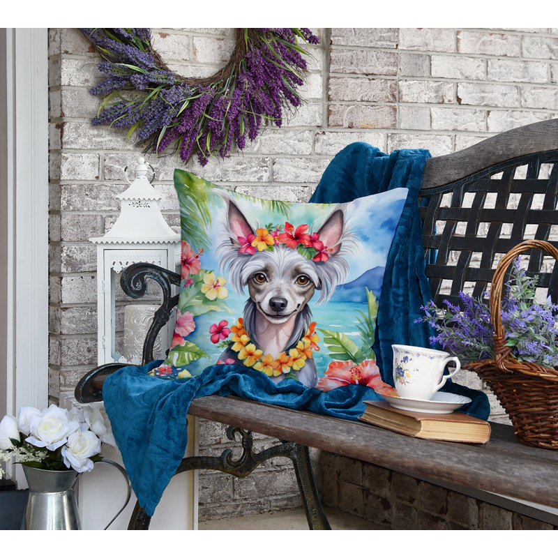 Other/No Pattern Outdoor Throw Pillow, 18" H x 18" W