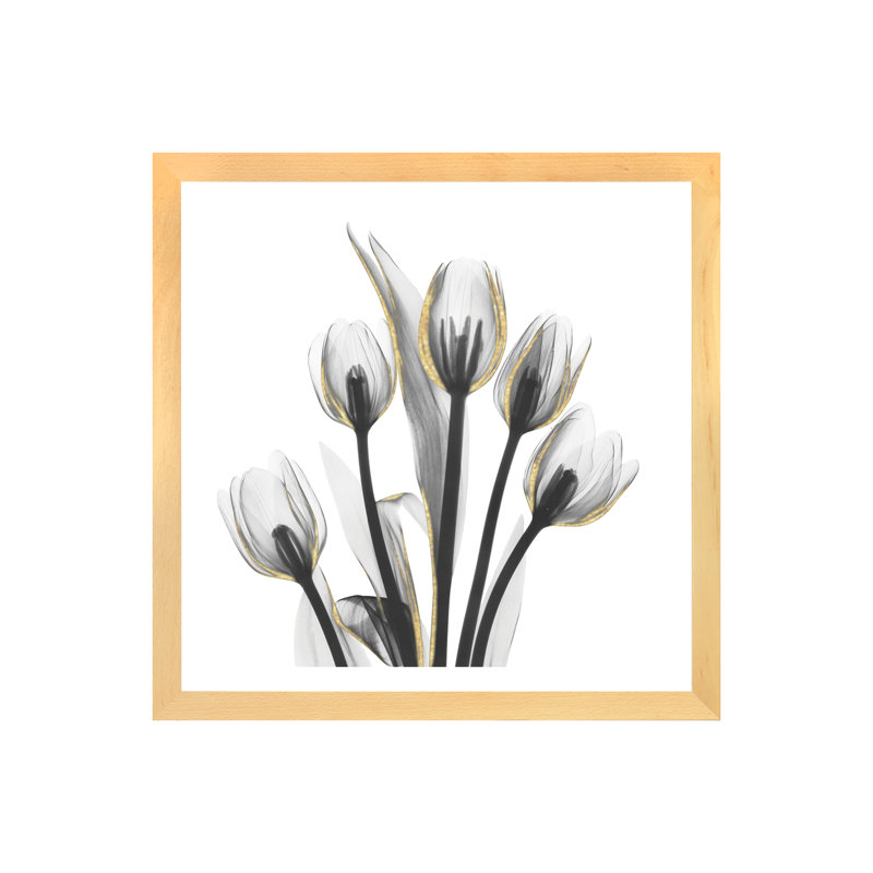 « doréy tulipes i » par albert koetsier,-print, H 24 po x l 24 po x P 1 po, Papier encadré naturel