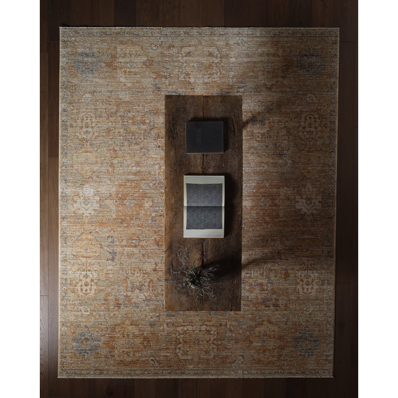 Tapis oriental brun clair / bleu Label J Valdora STN04 (4 pi x 6 pi), Rectangulaire 6 pi x 4 pi