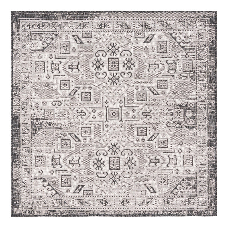Alucard Indoor / Outdoor Rug, Square 5'3"