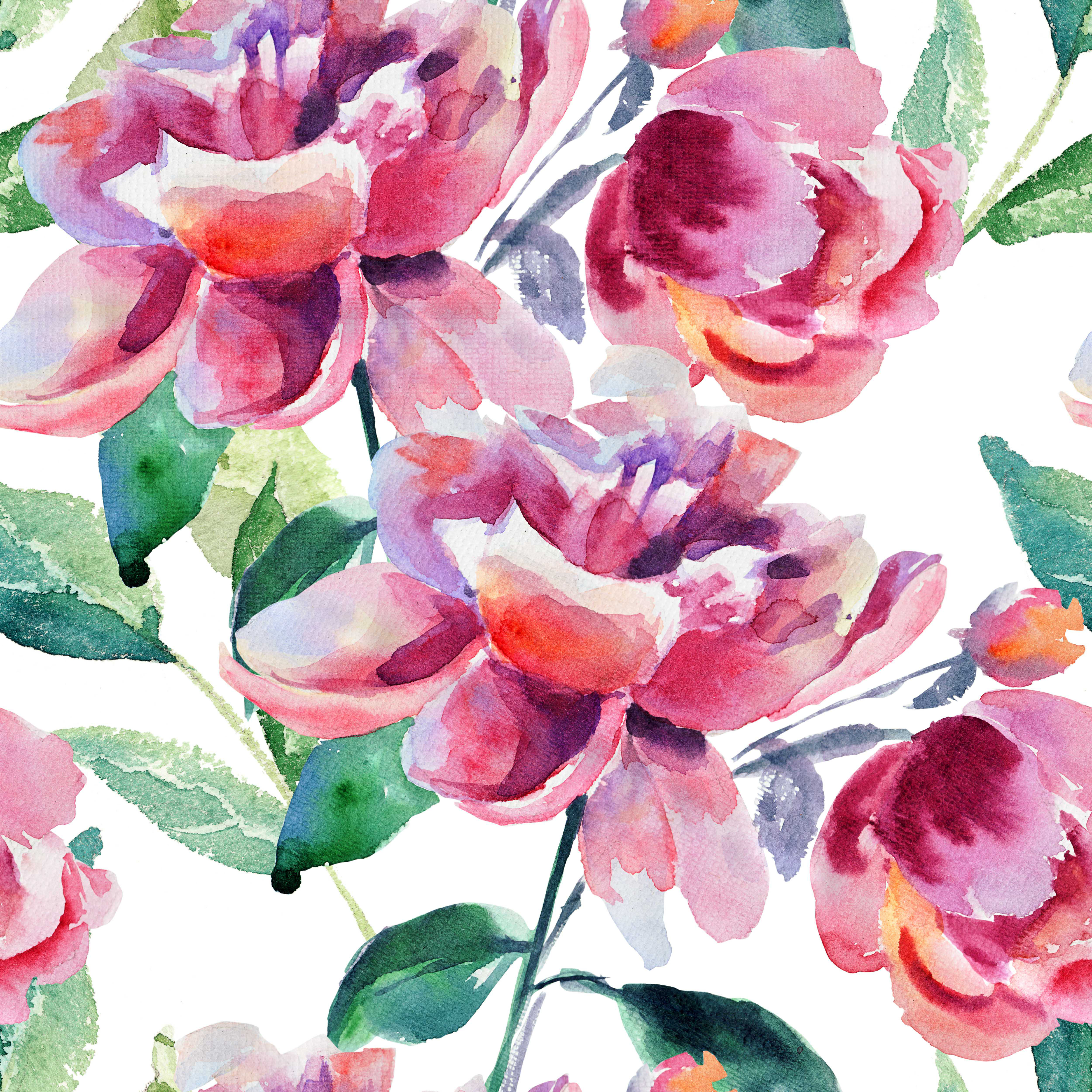 Winston Porter Beautiful Peony Flower by - Wrapped Canvas Painting ...
