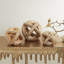Orbe décoratif en corde de bois naturel-109362104-109362105