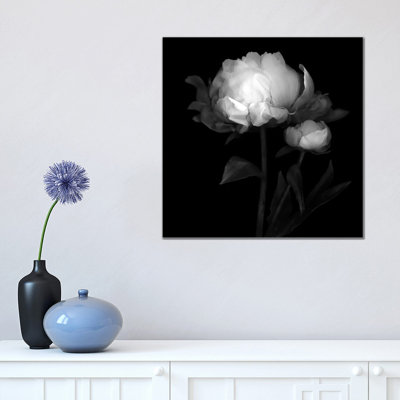Peonies III by Magda Indigo - Wrapped Canvas Print
