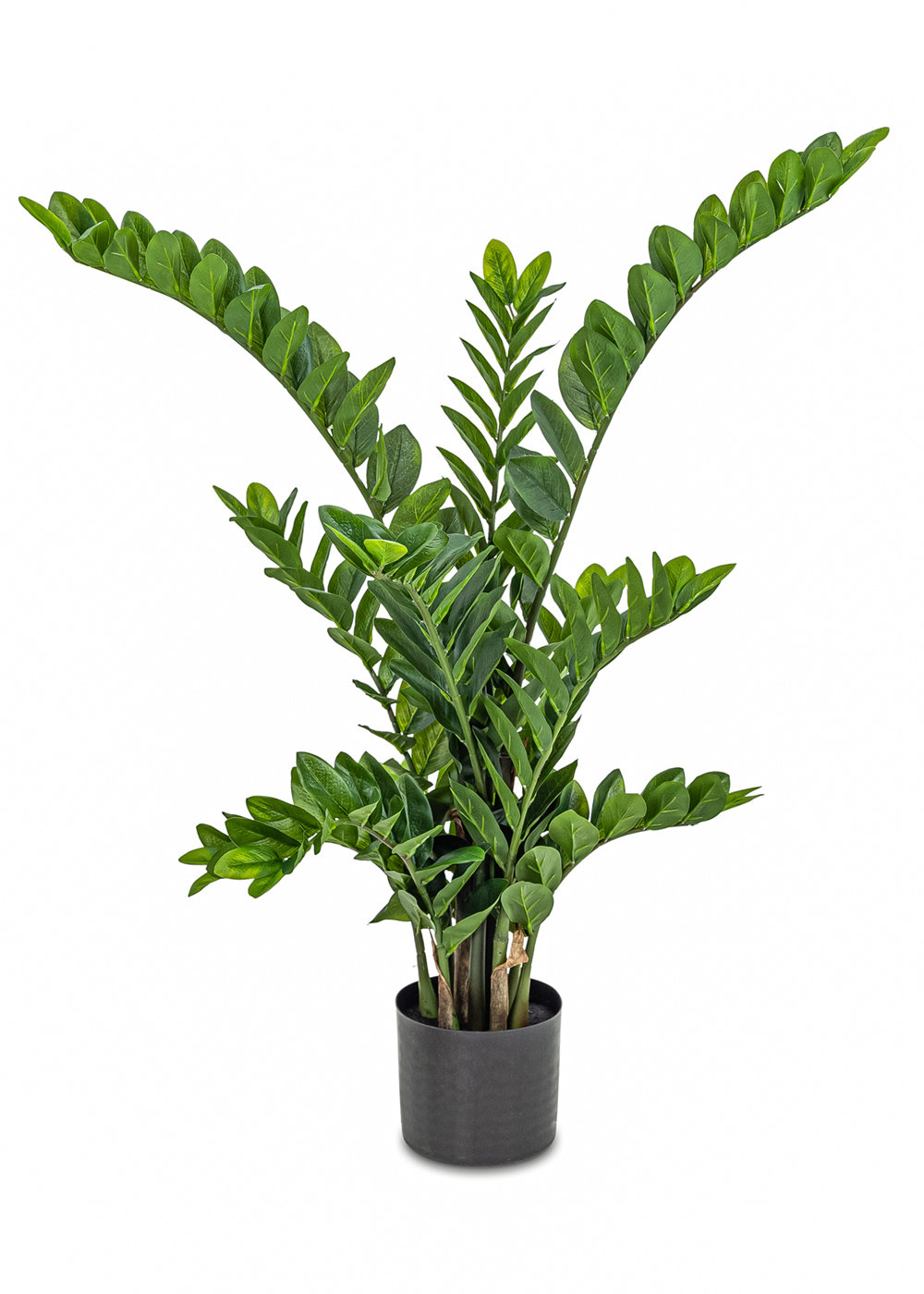 Primrue Primrue Zamifolia 44 Inch Faux Botanical Plant | Wayfair