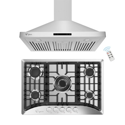 Empava 2 Piece Kitchen Appliance Package with Gas Cooktop Wall Mount Range Hood