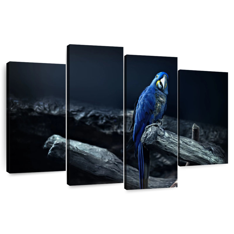 Brampt Hyacinth Macaw, 27" H x 43" W
