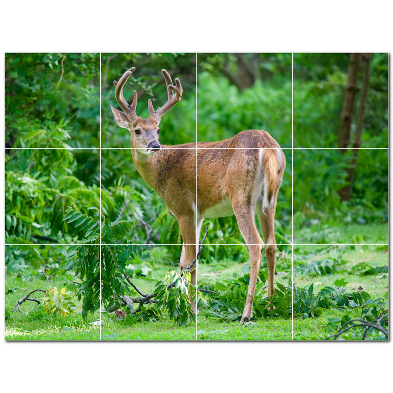 6'' x 6'' Satin Ceramic Decorative Mural