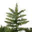 Camdon Fir 6.5' H Lighted Artificial Fir Christmas Tree