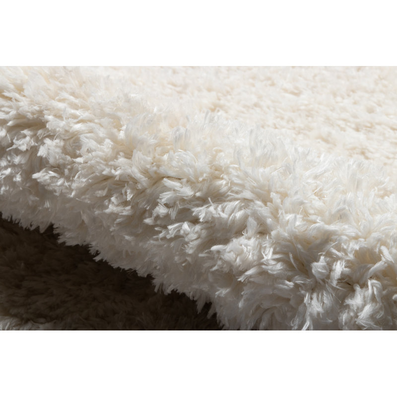 Nola Shag Indoor Rug, Rectangle 7'10 x 10'