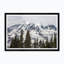 Mt. Rainier Treetops Framed Photographic Print