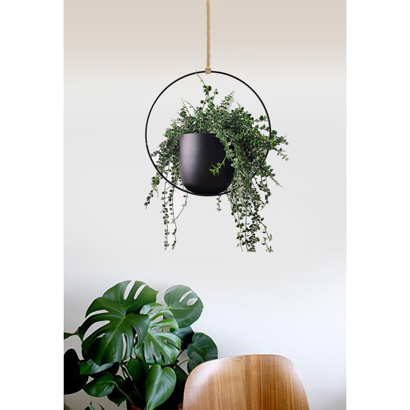 Jardinière suspendue Ray, H 16 po x l 7 po x P 16 po