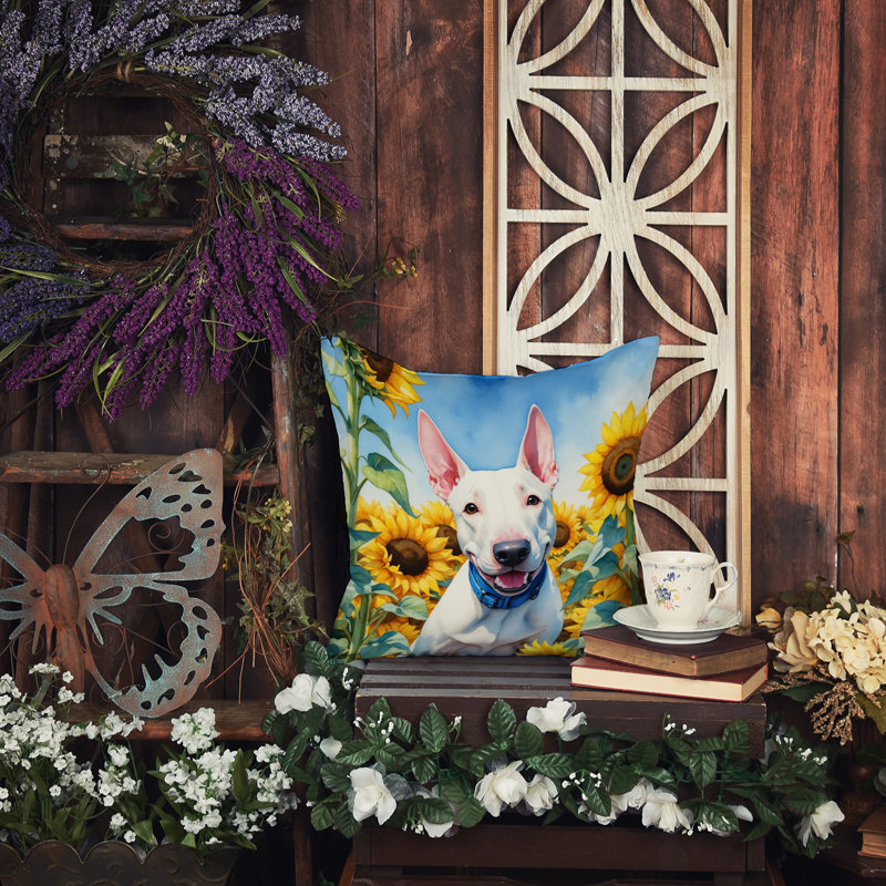 Other/No Pattern Outdoor Throw Pillow, 14" H x 14" W
