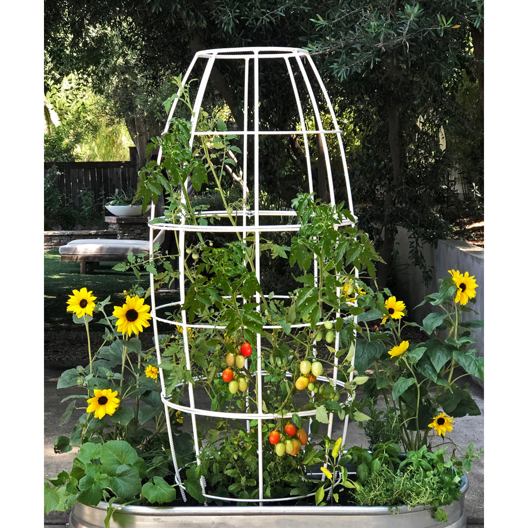 Toki 58'' H x 24'' W Steel Obelisk Trellis TerraTrellis 