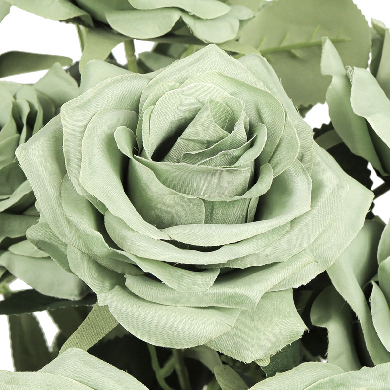Grand rosier Jaafer Deluxe, Vert sauge