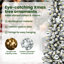 4.92' H Lighted Artificial Christmas Tree