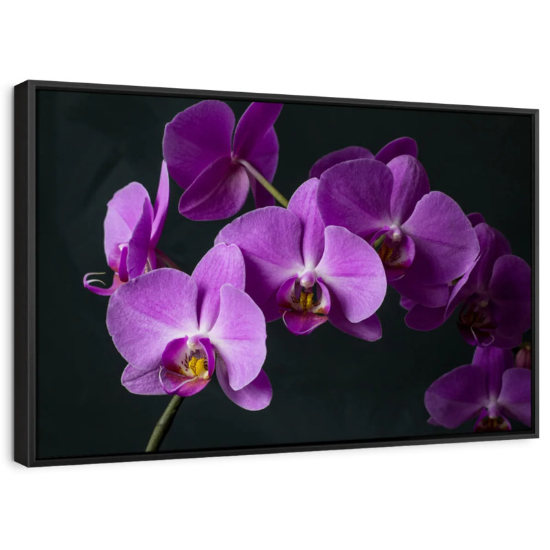 Fancy Purple Orchids Canvas Print, 27" H x 40" W