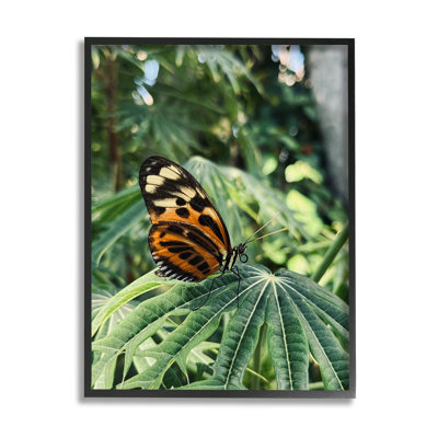 " Monarch Butterfly On Leaf " by Lil' Rue