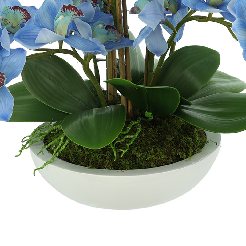 Orchids Arranged in Fiberstone Planter, Blue