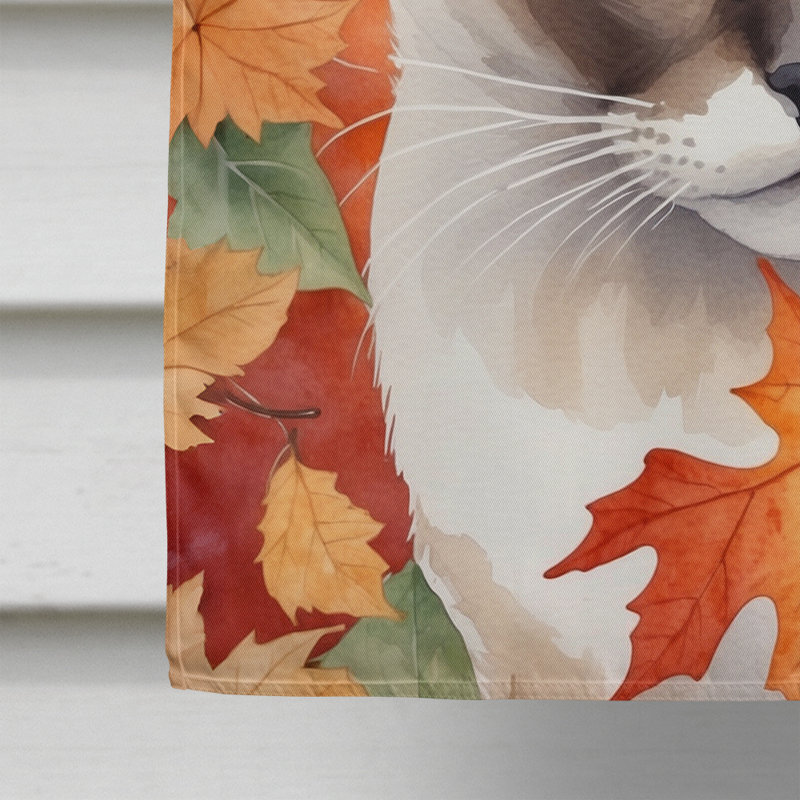 Chat en feuilles d'automne, Raquette à neige