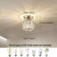 Achol 1 - Light Chandelier