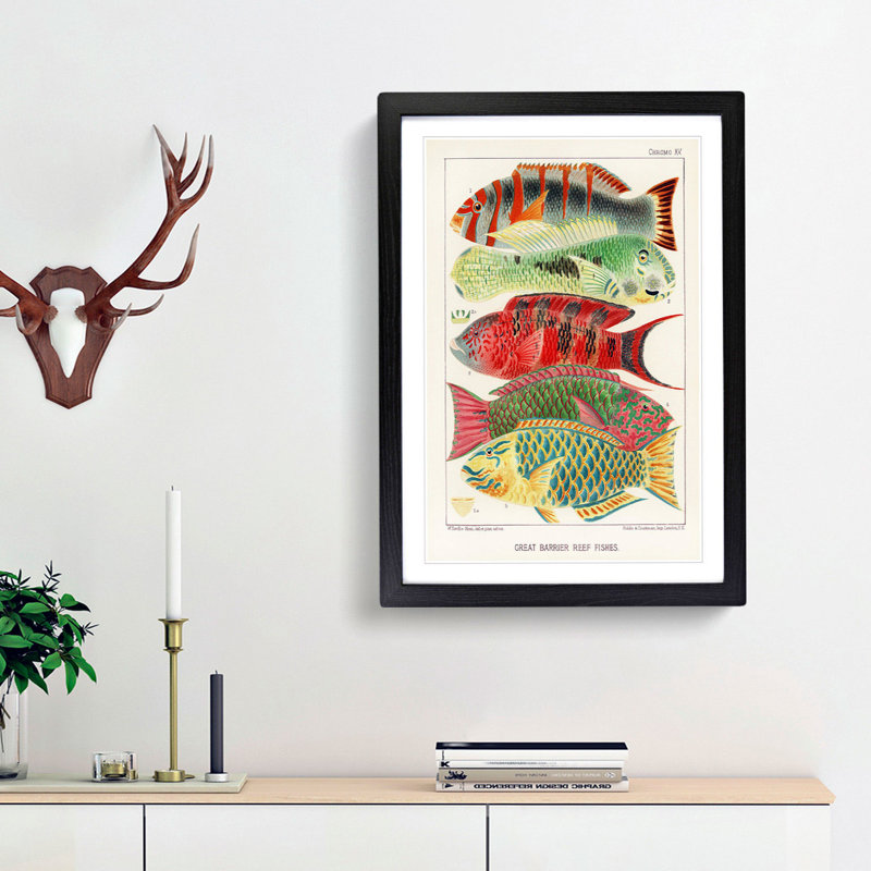 Great Barrier Reef Fishes by W. Saville-Kent - Picture Frame Painting Print, 36cm H x 27cm W x 2cm D, Black Framed