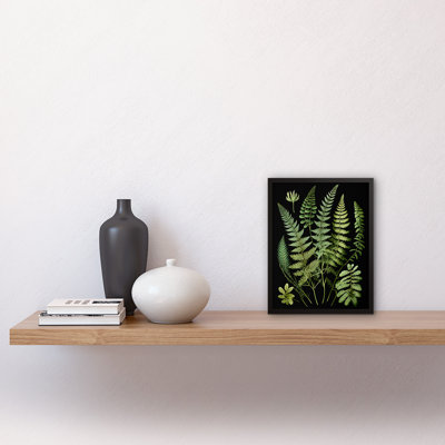 Fern Fronds - Single Picture Frame Print